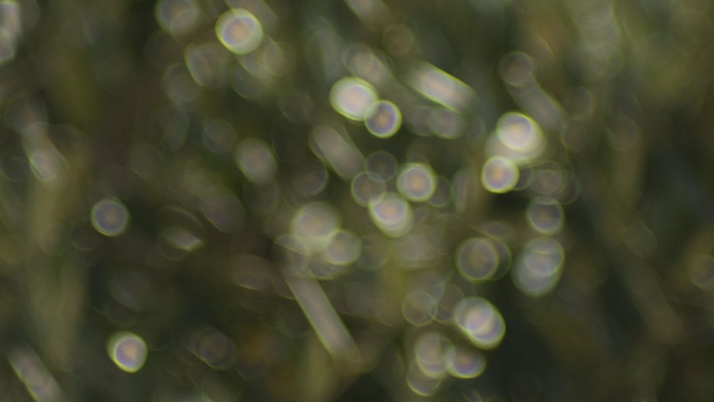 Bubble bokeh