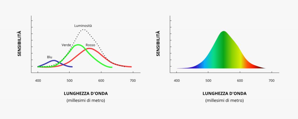 Sensibilità dell'occhio umano ai colori